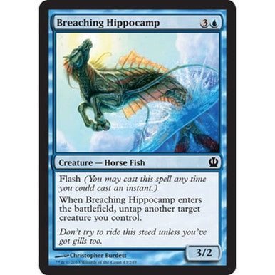 Magic single - Breaching Hippocamp