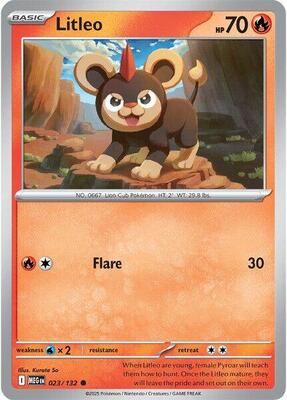 Preview image for the Litleo - 023/132 single card for the collectable card game Pokemon.