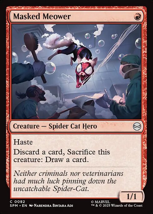 Preview image for the Masked Meower single card for the collectable card game Magic: The Gathering.