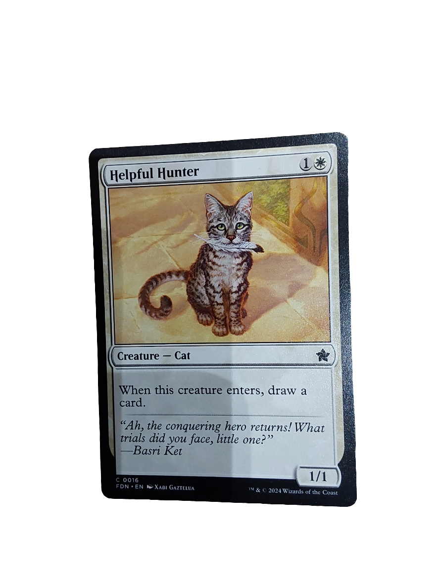 Magic Single - Helpful Hunter (FDN)
