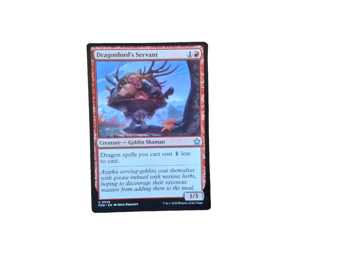 Magic Single - Dragonlord's Servant(FDN)