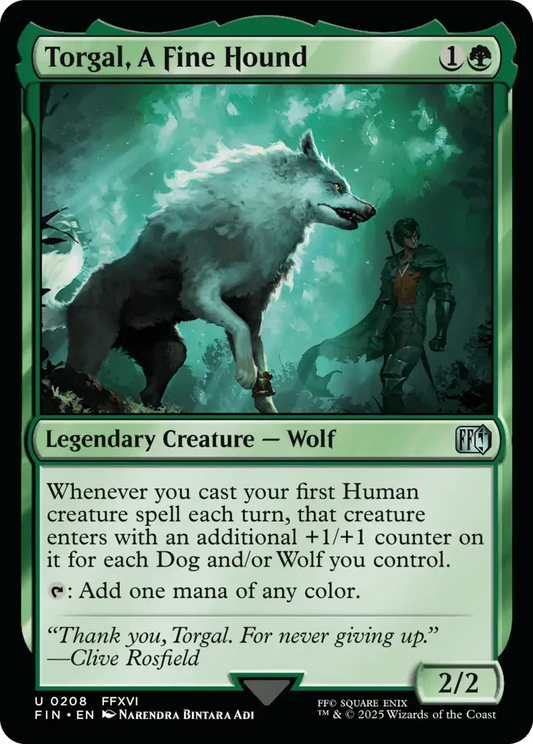 Torgal, A Fine Hound