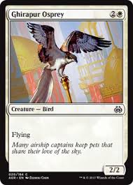 Magic Single- ghirapur osprey (AER)