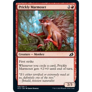Magic single - Prickly Marmoset(IKO)
