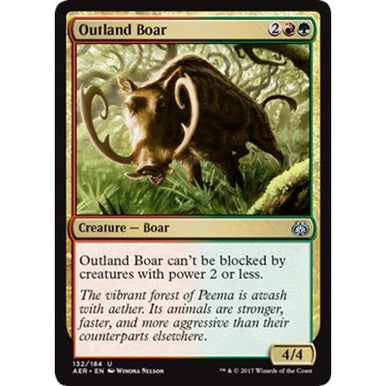 Magic Single - Outland Boar (AER)