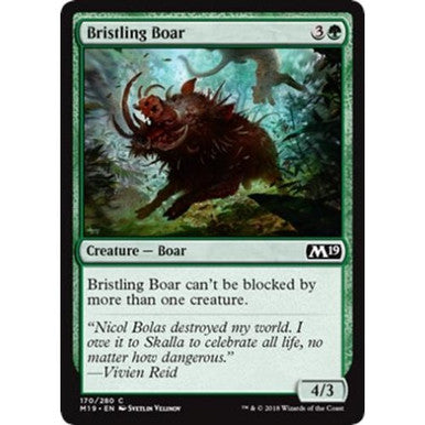Magic Single - Bristling Boar (M19)