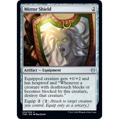 Mirror shield