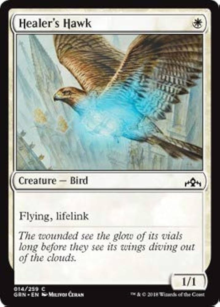 Magic Single - Healer's Hawk (FDN)