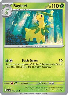 Preview image for the Bayleef single card  for the collectable card game Pokemon.