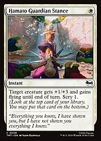 Hamato Guardian Stance