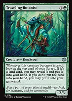 Traveling Botanist