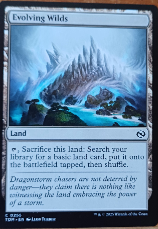 Magic Single - evolving wilds (TDM)