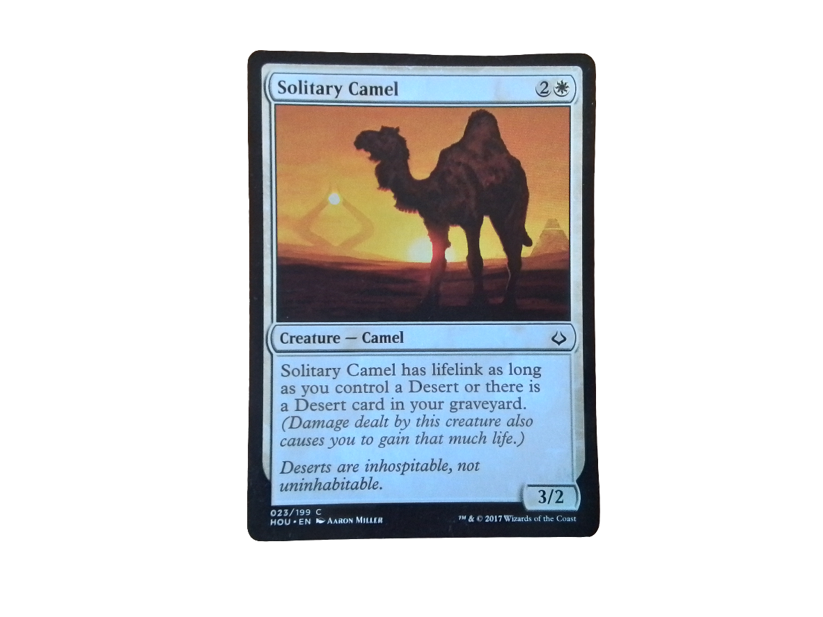Magic Single - Solitary Camel (HOU)