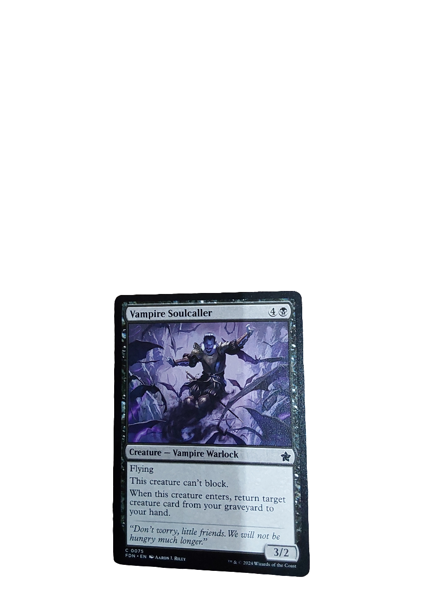 Magic Single - Vampire Soulcaller (FDN)