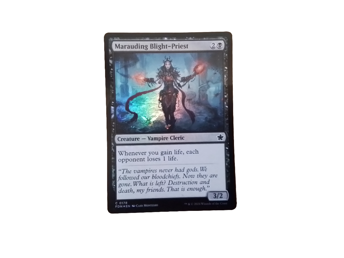 Magic Single - Marauding Blight-Priest (FDN)