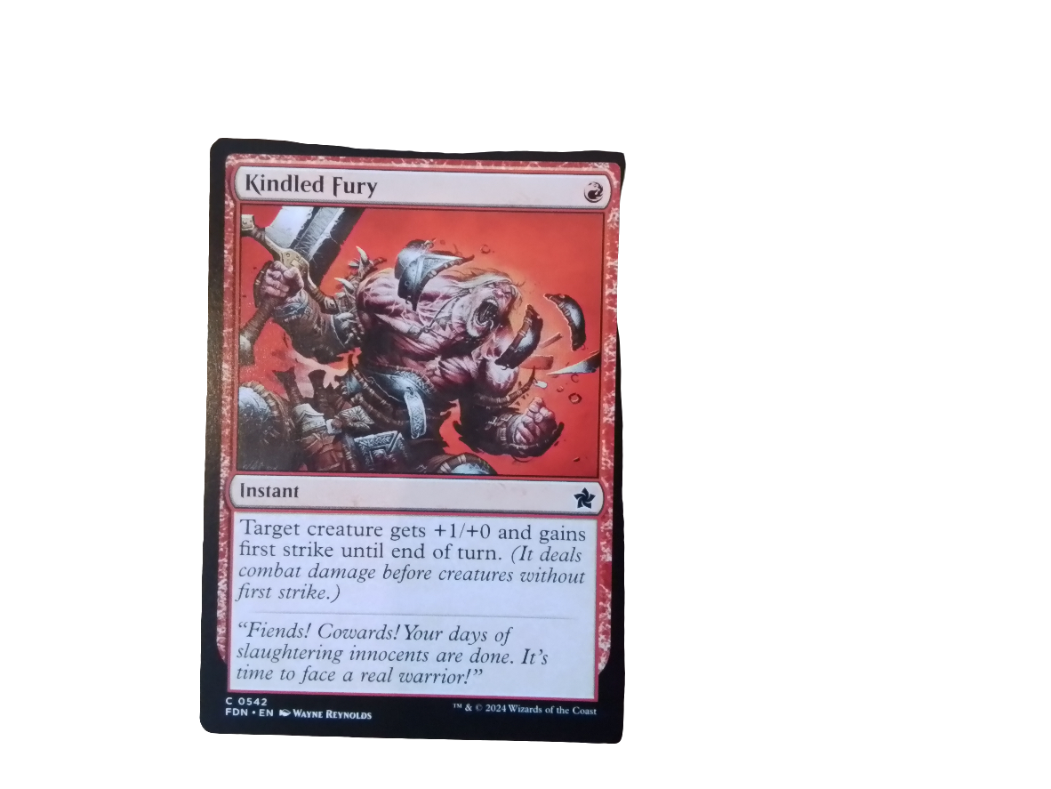 Magic Single - Kindled Fury(FDN)