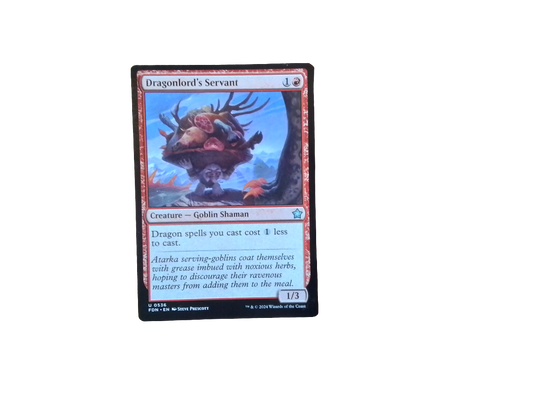Magic Single - Dragonlord's Servant(FDN)