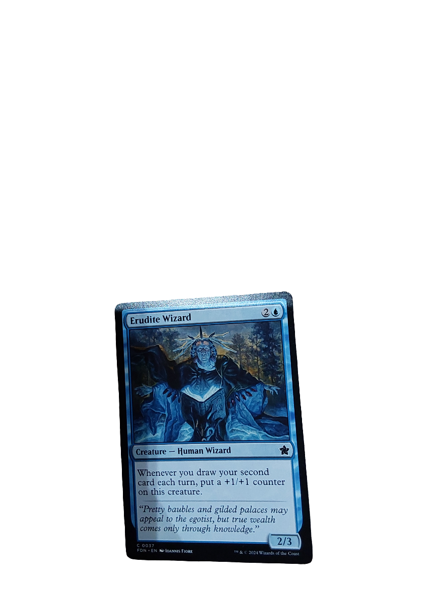 Magic Single - Erudite Wizard (FDN)