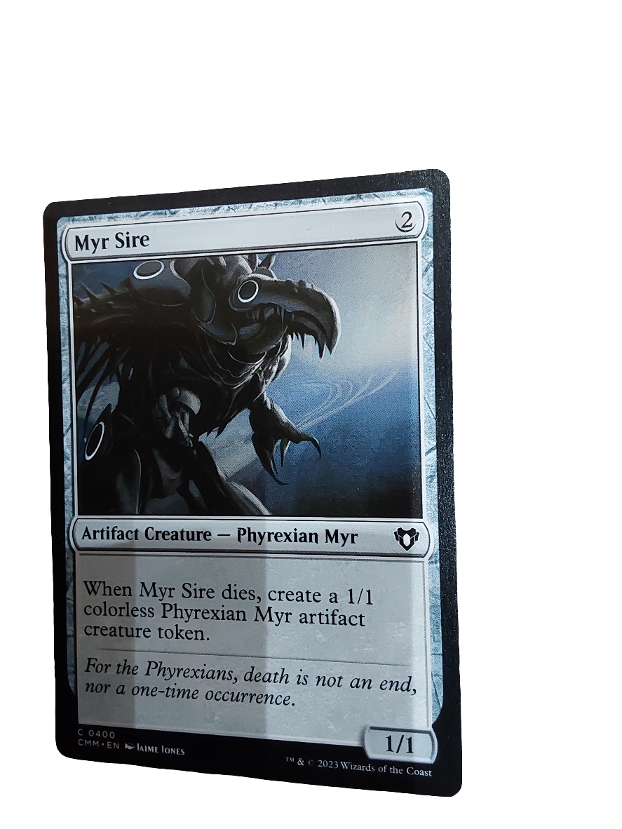 Magic Single - Myr Sire (CMM)