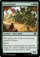 Magic Single -  Cactarantula