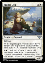 Magic Single - Prairie Dog (OTJ)