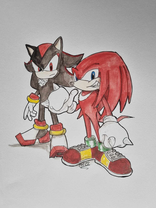 Shadow and Knuckles